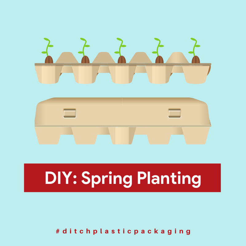 egg carton planter DIY