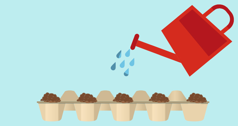 4 watering egg carton planter