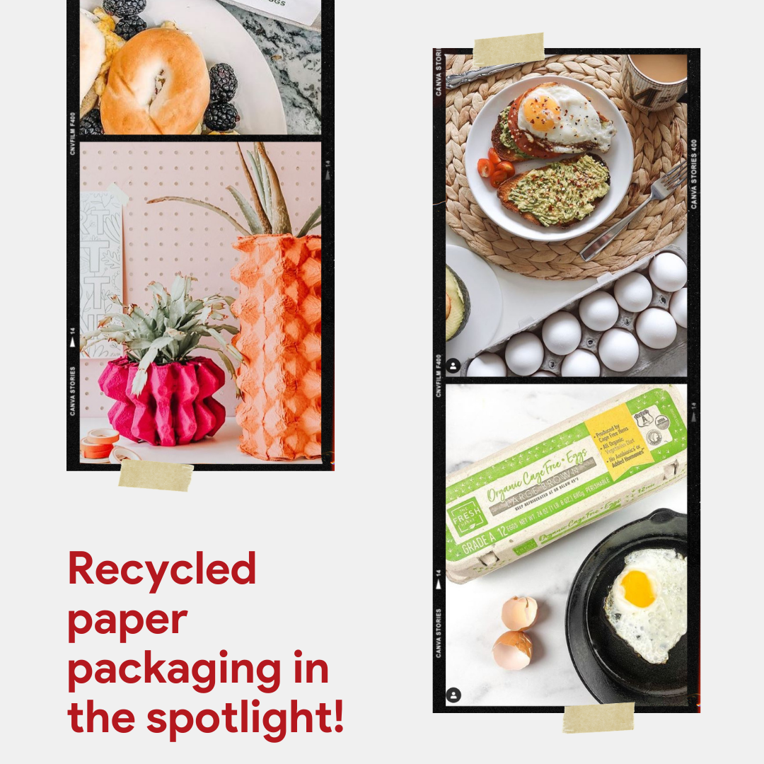 recycled paper ideas