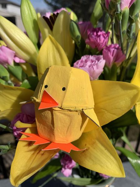 chick egg carton craft
