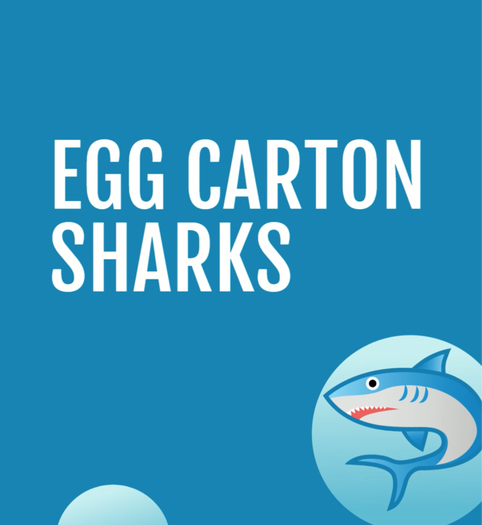 Screen Shot 2021-08-24 at 11.45.51 AM egg carton sharks