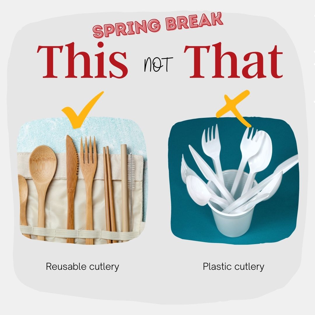 Reusable cutlery vs plastic cutlery