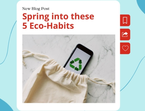 Spring into These 5 Eco-Friendly Habits