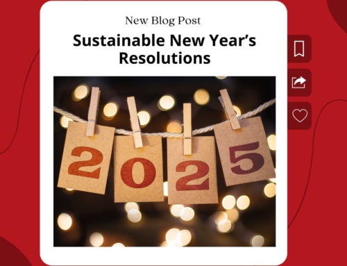 Plastic-Free Resolutions for 2025: Simple Steps towards Sustainability