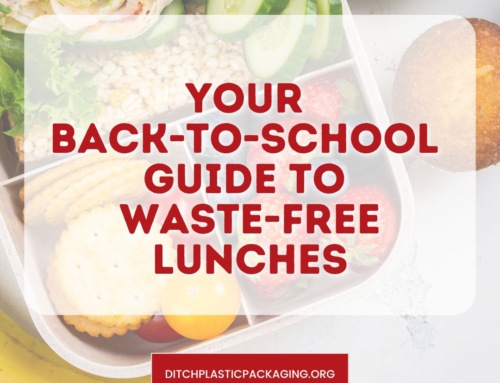Your Back-to-School Guide to Waste-Free Lunches