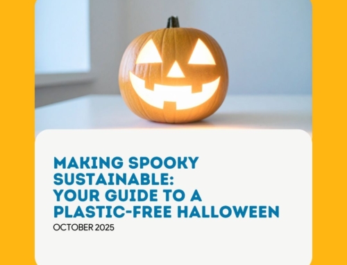 Making Spooky Sustainable: Your Guide to a Plastic-Free Halloween